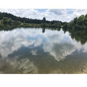 Make me an Offer! All offers Considered